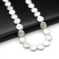 Cultured Button Freshwater Pearl Beads Flat Round DIY white 16-17mm Approx Sold By Strand