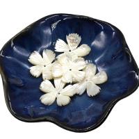 Prirodni Sea Shell perle, Cvijet, možete DIY, bijel, 30mm, Prodano By PC