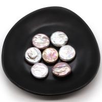 Cultured No Hole Freshwater Pearl Beads Flat Round DIY 19-20mm Sold By PC