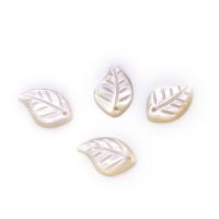 Natural White Shell Pendants White Lip Shell Leaf Carved DIY white Sold By PC