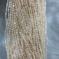 Koraliki Keishi z hodowlanych pereł słodkowodnych, Perła naturalna słodkowodna, DIY, biały, 3-4mm, sprzedawane na około 15 cal Strand