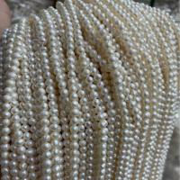 Přírodní sladkovodní perly perlí, Sladkovodní Pearl, Kolo, DIY, bílý, 4mm, Prodáno za Cca 15 inch Strand