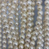Přírodní sladkovodní perly perlí, Sladkovodní Pearl, Kolo, DIY, bílý, 10-11mm, Prodáno za Cca 15 inch Strand