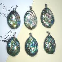 Natural Abalone Shell Pendants Oval Unisex multi-colored 35-45x52-60mm Sold By PC