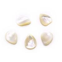 Grânulos de casca de lábio branco, concha, Pétalas, DIY, branco, 15x20mm, vendido por PC