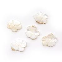 Grânulos de casca de lábio branco, concha, Pétalas, DIY, branco, 23x26mm, vendido por PC