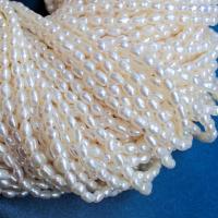 Přírodní sladkovodní perly perlí, Sladkovodní Pearl, Rýže, DIY & různé velikosti pro výběr, bílý, Prodáno za Cca 15 inch Strand