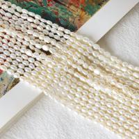 Přírodní sladkovodní perly perlí, Sladkovodní Pearl, DIY & různé styly pro výběr, bílý, Cca 40PC/Strand, Prodáno By Strand
