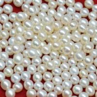 Cultured No Hole Freshwater Pearl Beads Round Natural & DIY white 3.5-4mm Sold By PC