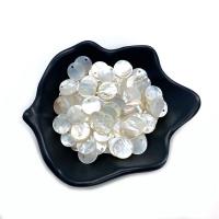 Shell Pendants Natural Seashell Flat Round DIY white Sold By PC