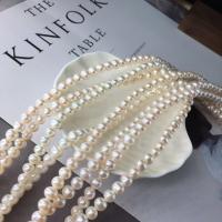 Přírodní sladkovodní perly perlí, Sladkovodní Pearl, DIY, bílý, 6-7mm, Prodáno za Cca 39 cm Strand