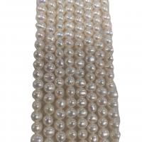 Perle perline Keishi coltivate d'acqua dolce, perla d'acquadolce coltivata naturalmente, Naturale & DIY & formato differente per scelta, bianco, Venduto per Appross. 36 cm filo