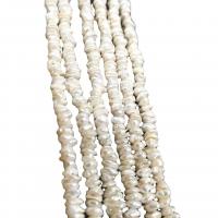 Cultured Baroque Freshwater Pearl Beads Natural & DIY white 5-6mm Sold Per 36-38 cm Strand