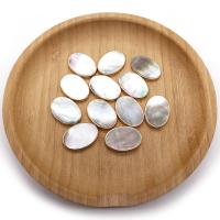 Prirodni Sea Shell perle, s Mesing, Oval, zlatna boja pozlaćen, možete DIY, bijel, 18x26mm, Prodano By PC