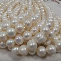 Přírodní sladkovodní perly perlí, Sladkovodní Pearl, DIY, bílý, 12-14mm, Prodáno za Cca 37 cm Strand