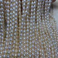 Přírodní sladkovodní perly perlí, Sladkovodní Pearl, DIY, bílý, 3.8-4.2mm, Prodáno za Cca 15 inch Strand