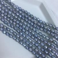 Přírodní sladkovodní perly perlí, Akoya kultivované perly, DIY, 7-8mm, Prodáno za Cca 15 inch Strand