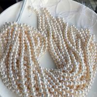 Přírodní sladkovodní perly perlí, Sladkovodní Pearl, DIY, bílý, 7-8mm, Prodáno za Cca 15 inch Strand