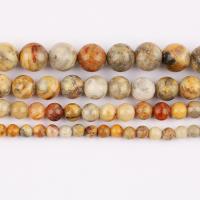Prirodni Crazy ahat perle, Crazy Agate, Krug, uglađen, možete DIY & različite veličine za izbor, Prodano Per Približno 37 cm Strand