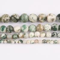 Tree ahat perle, Tree Agate, Krug, uglađen, možete DIY & različite veličine za izbor, Prodano Per Približno 37 cm Strand