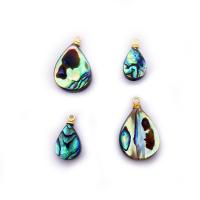 Natural Abalone Shell Pendants, gold color plated, fashion jewelry & DIY & different size for choice & for woman, multi-colored, Sold By PC