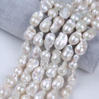 Cultured Baroque Freshwater Pearl Beads DIY white 14-20mm Sold Per Approx 36 cm Strand