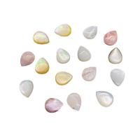 Prirodni Slatkovodni Shell perle, Školjka, Suza, možete DIY, više boja za izbor, 8x10mm, Prodano By PC