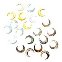 Natural Freshwater Shell Beads Moon DIY 10mm Sold By PC