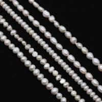 Přírodní sladkovodní perly perlí, Sladkovodní Pearl, DIY & různé velikosti pro výběr & různé designy pro výběr, bílý, Prodáno za Cca 38 cm Strand