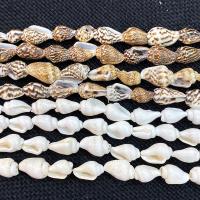 Natürliche Süßwasser Muschel Perlen, Schale, DIY, keine, 9x12mm, verkauft per ca. 38 cm Strang