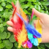 Jewelry Accessories Chicken Feather Feather fashion jewelry & DIY & for woman nickel lead & cadmium free 8-15CM Sold By PC