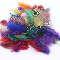 Jewelry Accessories Chicken Feather Feather fashion jewelry & DIY & for woman nickel lead & cadmium free 4.5-10CM Sold By PC