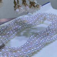 Freshwater Pearl Brass Chain Necklace, Pérolas de água doce, joias de moda & multicamada & para mulher, branco, comprimento Aprox 40 cm, vendido por PC