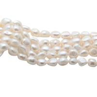 Koraliki Keishi z hodowlanych pereł słodkowodnych, Perła naturalna słodkowodna, Naturalne & DIY & różnej wielkości do wyboru, biały, sprzedawane na około 36 cm Strand