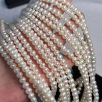 Přírodní sladkovodní perly perlí, Sladkovodní Pearl, lesklý, DIY, bílý, 6-7mm, Prodáno za Cca 38 cm Strand