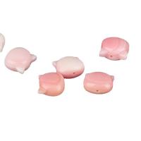 Natural Freshwater Shell Beads Queen Conch Shell Cat DIY Sold By PC