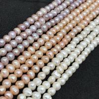 Přírodní sladkovodní perly perlí, Sladkovodní Pearl, DIY & různé velikosti pro výběr, více barev na výběr, Prodáno za Cca 38-40 cm Strand