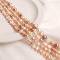 Přírodní sladkovodní perly perlí, Sladkovodní Pearl, DIY & různé styly pro výběr, smíšené barvy, Prodáno za 38 cm Strand