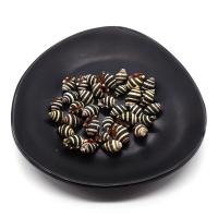 Natürliche Süßwasser Muschel Perlen, Strandschnecke, DIY, gemischte Farben, 10x15mm, ca. 10PCs/Tasche, verkauft von Tasche