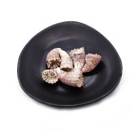 Prirodni Slatkovodni Shell perle, Školjka, možete DIY & nema rupe, miješana boja, 18x31mm, Prodano By PC
