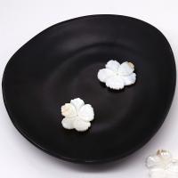 Prirodni Sea Shell perle, Cvijet, Izrezbaren, možete DIY, bijel, 23x26mm, Prodano By PC