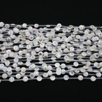 Naturalne białe koraliki z muszli, Muszla biała, Płaskie koło, Drukowane, DIY & różne wzory do wyboru, dostępnych więcej kolorów, 8mm, około 20komputery/Strand, sprzedane przez Strand