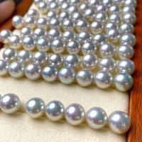 "Akoya Cultured Sea Pearl Oyster Beads", Akoya dirbtiniu būdu išauginti perlai, Pasidaryk pats, baltas, 7-7.5mm, Pardavė PC