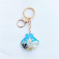 Zinc Alloy Key Clasp Resin with Zinc Alloy & epoxy gel 43mmu00d740mmu00d715mm Approx Sold By Lot
