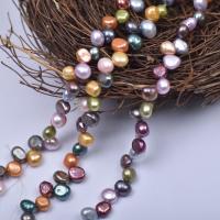 Přírodní sladkovodní perly perlí, Sladkovodní Pearl, DIY, multi-barevný, 7-8mm, Prodáno za Cca 38-40 cm Strand