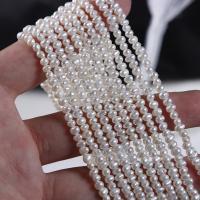 Cultured Potato Freshwater Pearl Beads DIY white 2.8-3mm Sold Per Approx 36 cm Strand