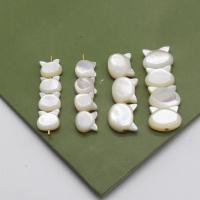 Naturlig Freshwater Shell Perler, Cat, Carved, du kan DIY & forskellig størrelse for valg, flere farver til valg, Solgt af PC
