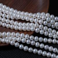 Přírodní sladkovodní perly perlí, Sladkovodní Pearl, Kolo, DIY, bílý, 7mm, Prodáno za Cca 40 cm Strand