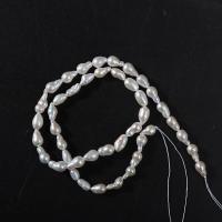 Přírodní sladkovodní perly perlí, Sladkovodní Pearl, DIY, bílý, 5-6mm, Prodáno za Cca 39 cm Strand