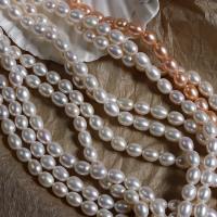 Přírodní sladkovodní perly perlí, Sladkovodní Pearl, DIY, více barev na výběr, 7mm, Prodáno za Cca 38 cm Strand